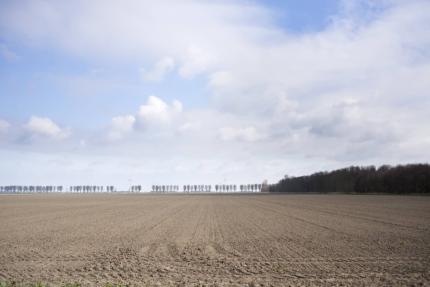 Dutch landscapes Almere Nobelhorst Nina Vossen 16